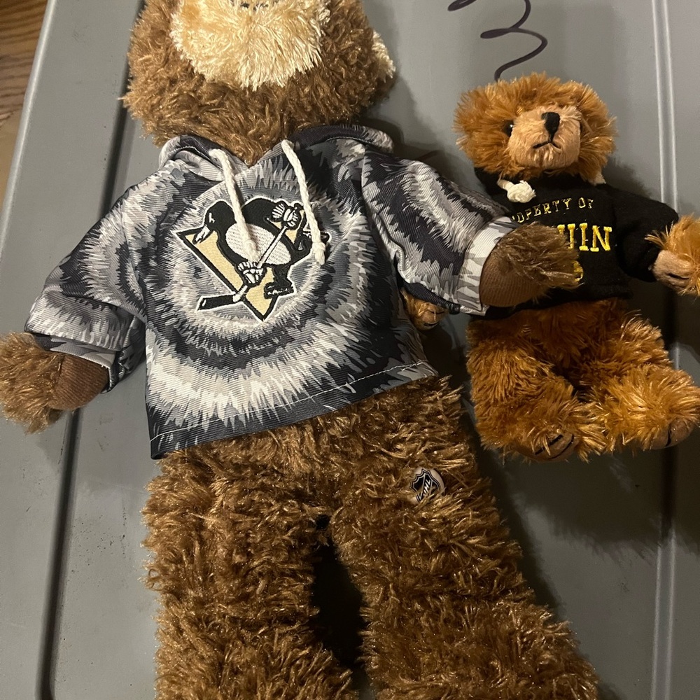 NHL Stuffed Bears with Team Logo Hoodies - Brown and Black
